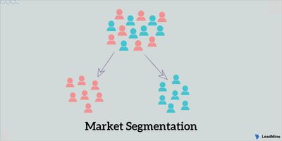 Market Segmentation: Definition, Types, Why It is Important, Purpose